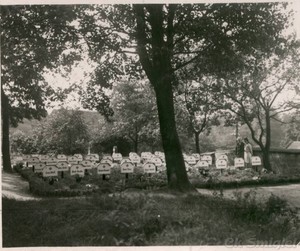 Groby Niemców, grudzień 1939